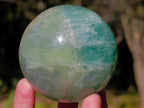 Polished Watermelon Fluorite Spheres x 2 From Uis, Namibia - Toprock Gemstones and Minerals 