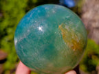 Polished Watermelon Fluorite Spheres x 2 From Uis, Namibia - Toprock Gemstones and Minerals 