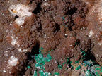 Natural XL Smokey Quartz coated with Malachite Specimen x 1 From Kambove, Congo - Toprock Gemstones and Minerals 