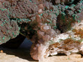 Natural XL Smokey Quartz coated with Malachite Specimen x 1 From Kambove, Congo - Toprock Gemstones and Minerals 