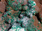 Natural XL Smokey Quartz coated with Malachite Specimen x 1 From Kambove, Congo - Toprock Gemstones and Minerals 