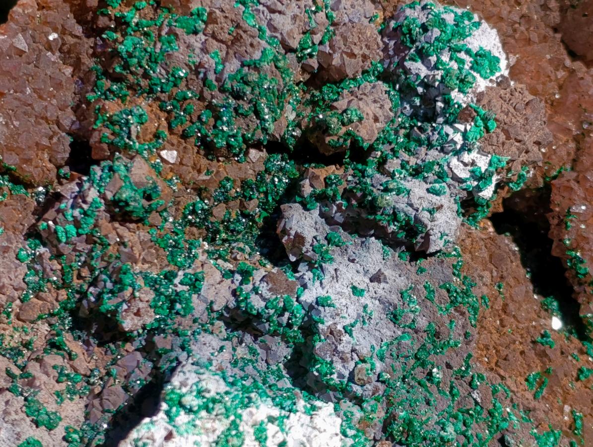 Natural XL Smokey Quartz coated with Malachite Specimen x 1 From Kambove, Congo - Toprock Gemstones and Minerals 