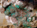 Natural XL Smokey Quartz coated with Malachite Specimen x 1 From Kambove, Congo - Toprock Gemstones and Minerals 