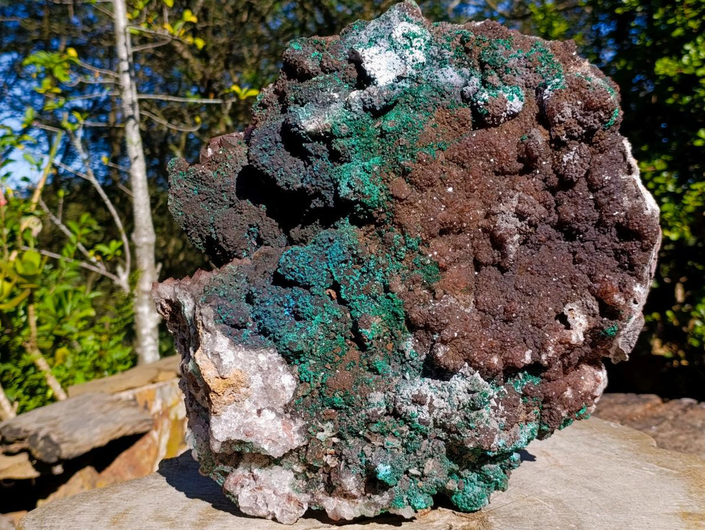 Natural XL Smokey Quartz coated with Malachite Specimen x 1 From Kambove, Congo - Toprock Gemstones and Minerals 