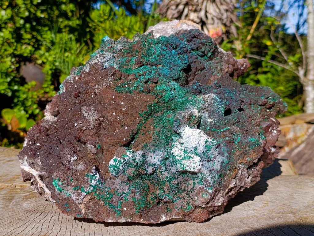 Natural XL Smokey Quartz coated with Malachite Specimen x 1 From Kambove, Congo - Toprock Gemstones and Minerals 