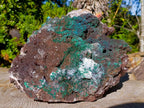 Natural XL Smokey Quartz coated with Malachite Specimen x 1 From Kambove, Congo - Toprock Gemstones and Minerals 