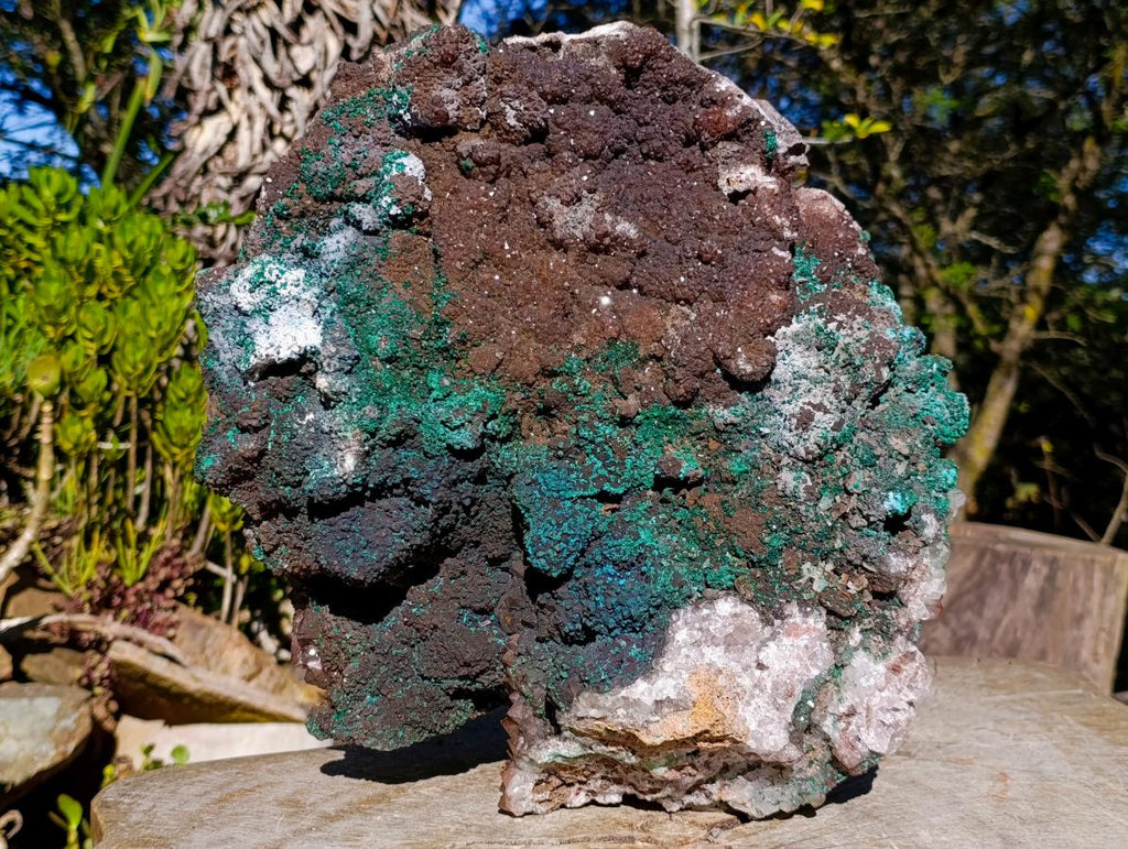 Natural XL Smokey Quartz coated with Malachite Specimen x 1 From Kambove, Congo - Toprock Gemstones and Minerals 