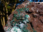 Natural XL Smokey Quartz coated with Malachite Specimen x 1 From Kambove, Congo - Toprock Gemstones and Minerals 
