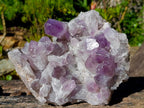 Natural Large Jacaranda Amethyst Cluster x 1 From Mumbwa, Zambia - Toprock Gemstones and Minerals 