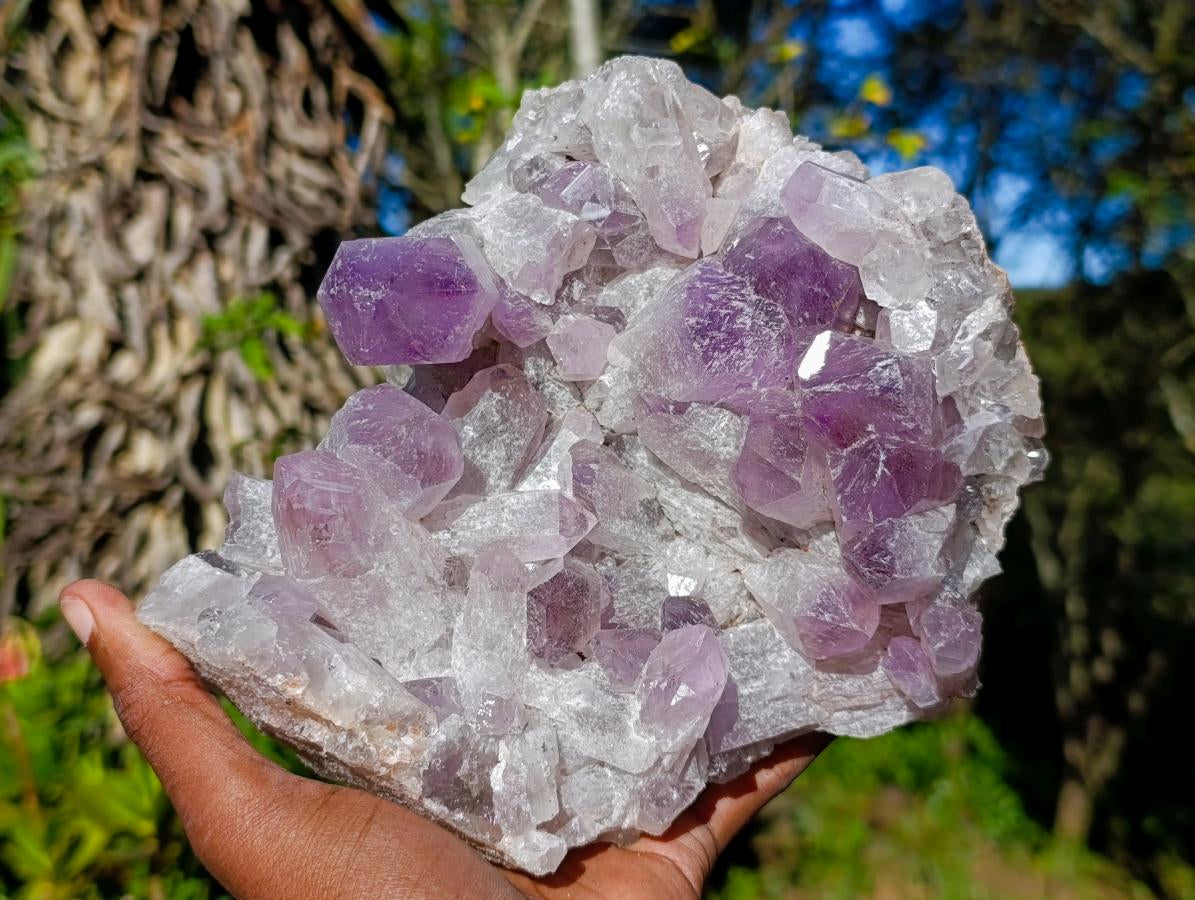 Natural Large Jacaranda Amethyst Cluster x 1 From Mumbwa, Zambia - Toprock Gemstones and Minerals 