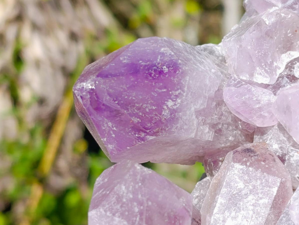 Natural Large Jacaranda Amethyst Cluster x 1 From Mumbwa, Zambia - Toprock Gemstones and Minerals 