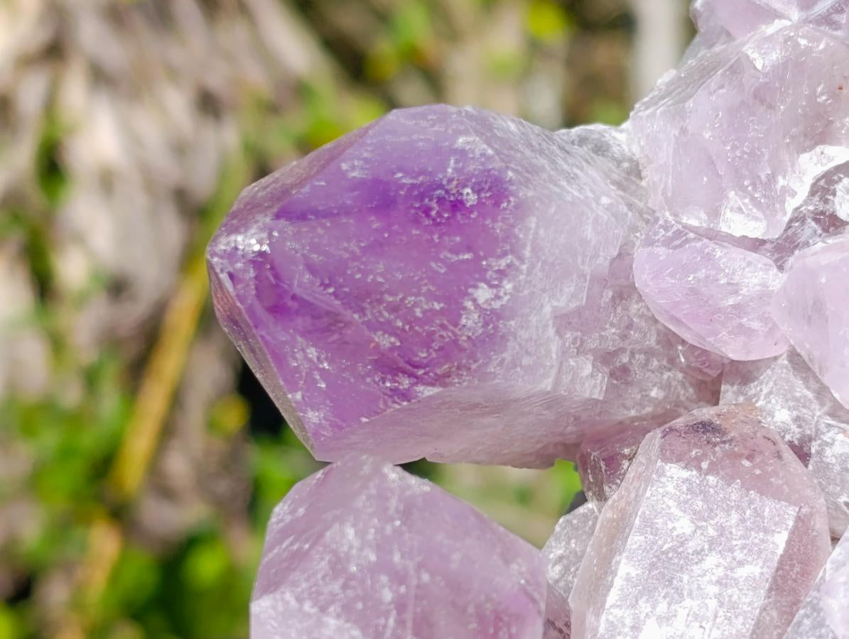Natural Large Jacaranda Amethyst Cluster x 1 From Mumbwa, Zambia - Toprock Gemstones and Minerals 
