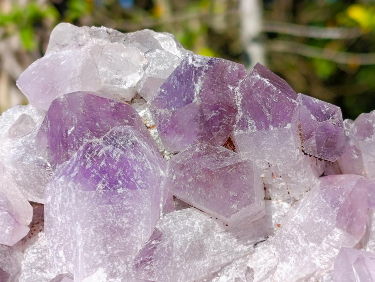 Natural Large Jacaranda Amethyst Cluster x 1 From Mumbwa, Zambia - Toprock Gemstones and Minerals 
