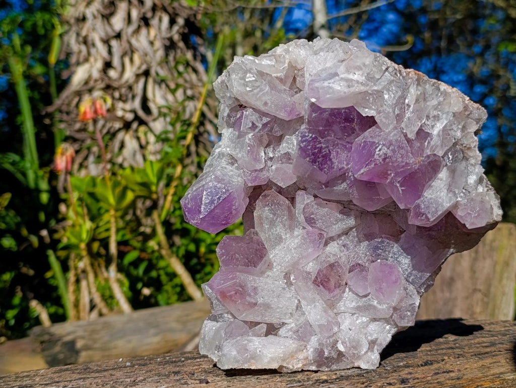 Natural Large Jacaranda Amethyst Cluster x 1 From Mumbwa, Zambia - Toprock Gemstones and Minerals 