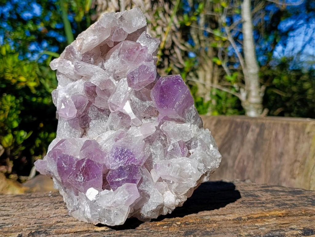 Natural Large Jacaranda Amethyst Cluster x 1 From Mumbwa, Zambia - Toprock Gemstones and Minerals 