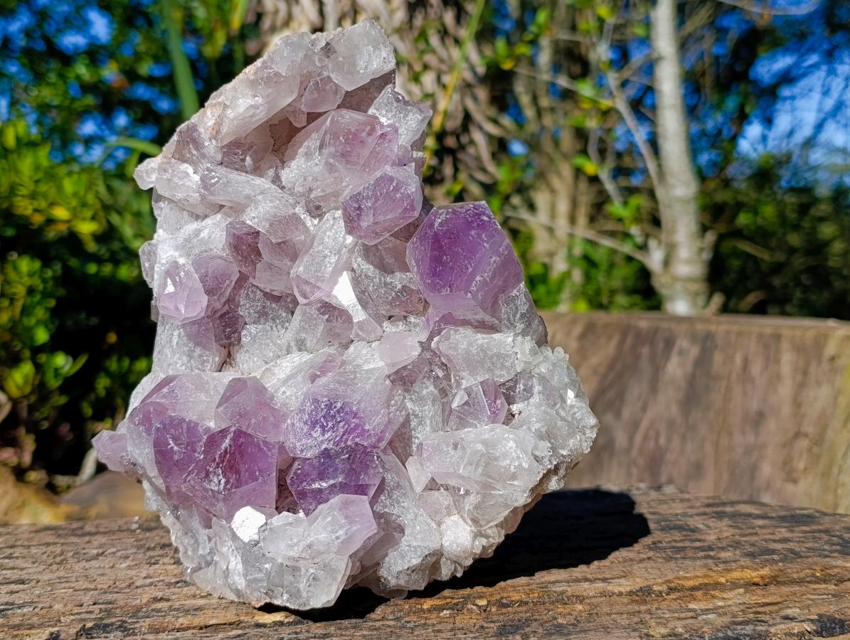 Natural Large Jacaranda Amethyst Cluster x 1 From Mumbwa, Zambia - Toprock Gemstones and Minerals 