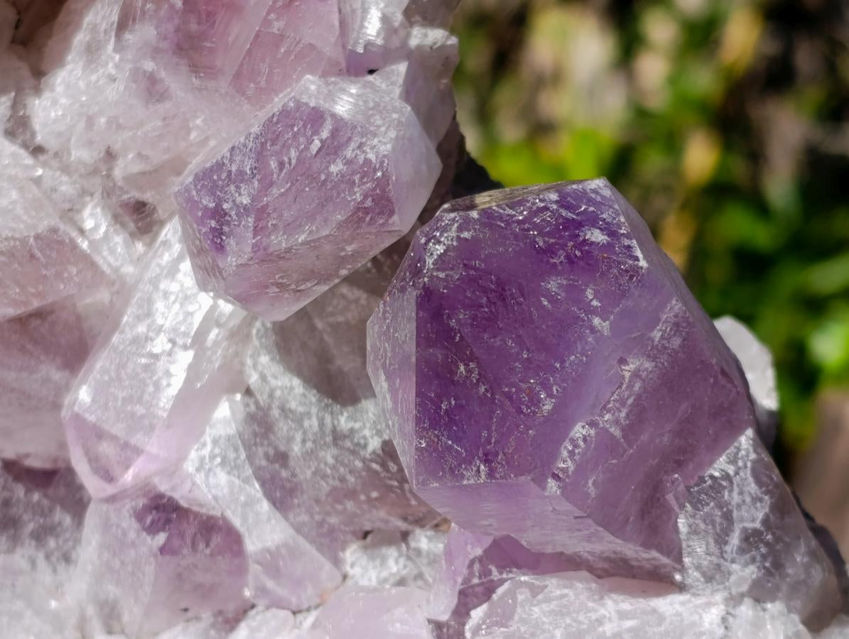Natural Large Jacaranda Amethyst Cluster x 1 From Mumbwa, Zambia - Toprock Gemstones and Minerals 