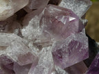 Natural Large Jacaranda Amethyst Cluster x 1 From Mumbwa, Zambia - Toprock Gemstones and Minerals 