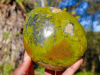 Polished Green Opal Standing Display Pieces x 2 From Betroka, Madagascar - Toprock Gemstones and Minerals 
