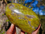 Polished Green Opal Standing Display Pieces x 2 From Betroka, Madagascar - Toprock Gemstones and Minerals 