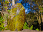 Polished Green Opal Standing Display Pieces x 2 From Betroka, Madagascar - Toprock Gemstones and Minerals 