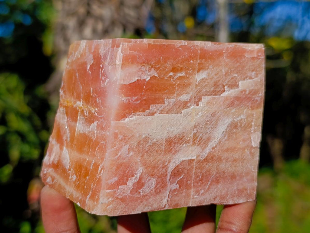 Natural Rhombohedral Sunset Orange Calcite Specimens x 4 From Spitzkop, Namibia - Toprock Gemstones and Minerals 