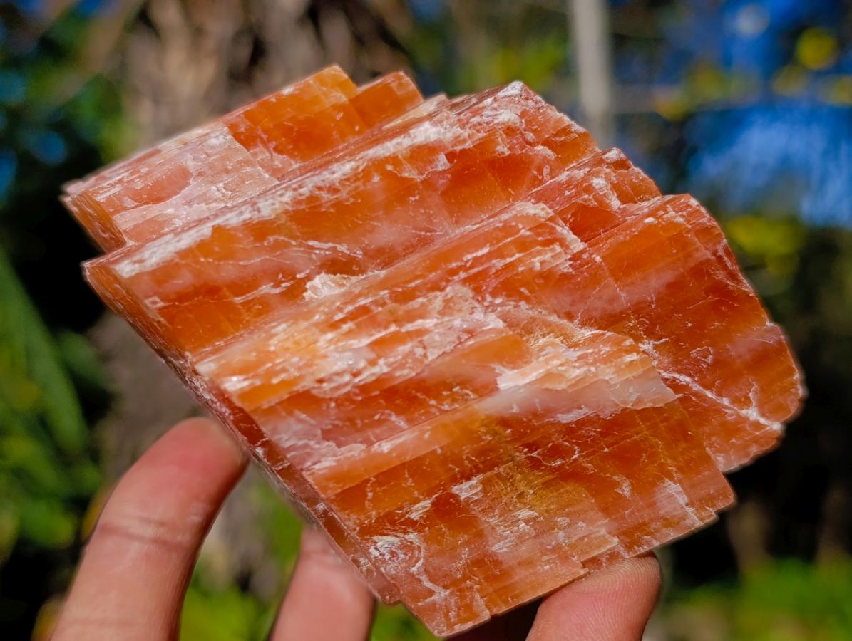Natural Rhombohedral Sunset Orange Calcite Specimens x 4 From Spitzkop, Namibia - Toprock Gemstones and Minerals 