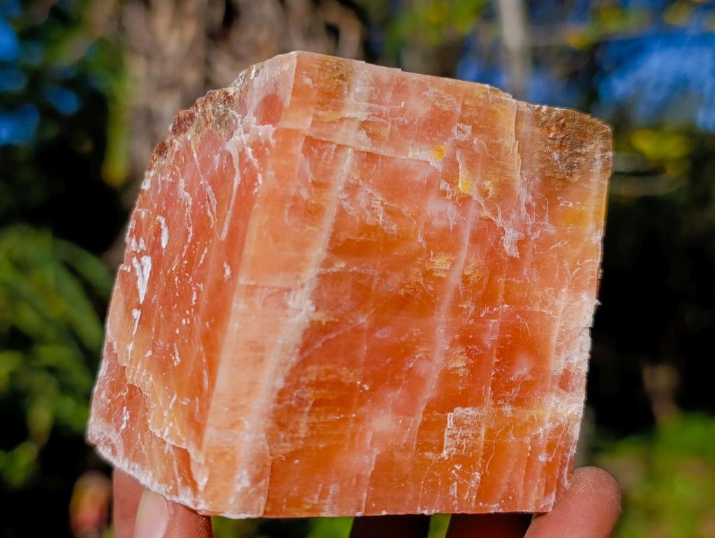 Natural Rhombohedral Sunset Orange Calcite Specimens x 4 From Spitzkop, Namibia - Toprock Gemstones and Minerals 