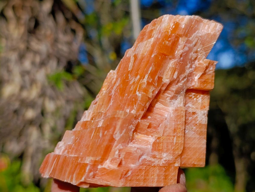 Natural Rhombohedral Sunset Orange Calcite Specimens x 4 From Spitzkop, Namibia - Toprock Gemstones and Minerals 