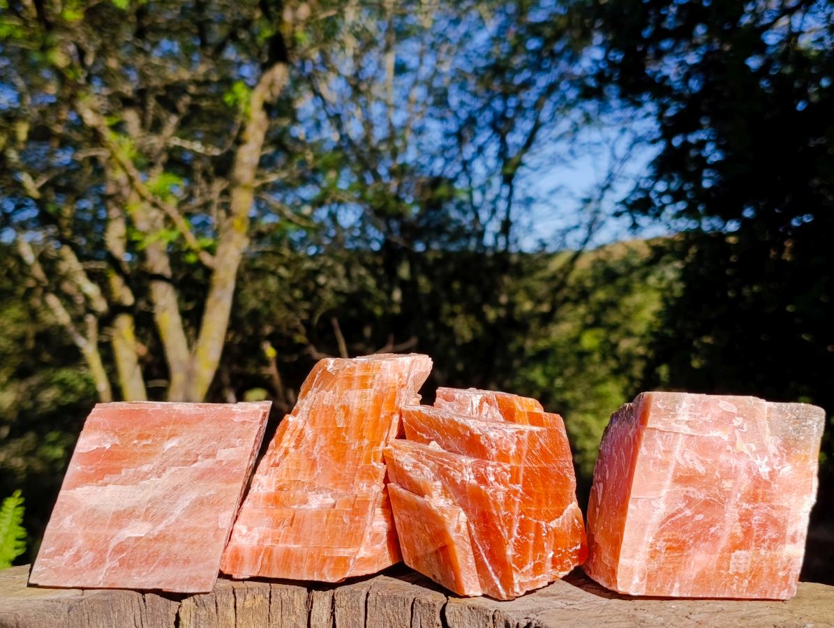 Natural Rhombohedral Sunset Orange Calcite Specimens x 4 From Spitzkop, Namibia - Toprock Gemstones and Minerals 