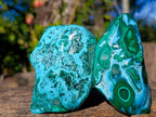 Polished Malacolla Free Forms x 6 From Kulukuluku, Congo - Toprock Gemstones and Minerals 