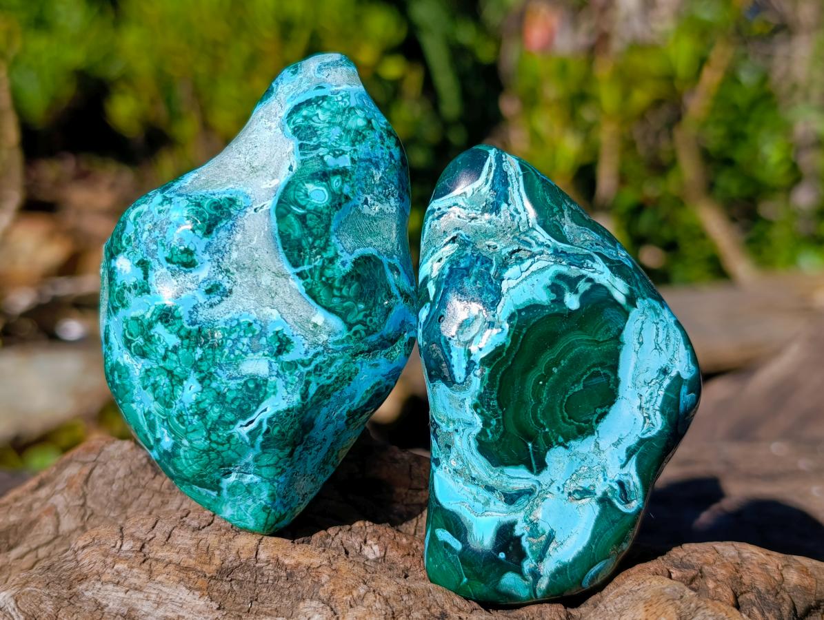 Polished Malacolla Free Forms x 6 From Kulukuluku, Congo - Toprock Gemstones and Minerals 