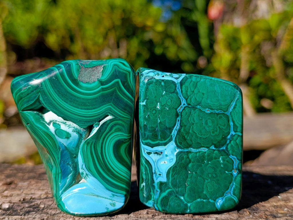 Polished Malacolla Free Forms x 6 From Kulukuluku, Congo - Toprock Gemstones and Minerals 