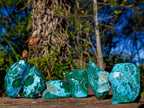 Polished Malacolla Free Forms x 6 From Kulukuluku, Congo - Toprock Gemstones and Minerals 