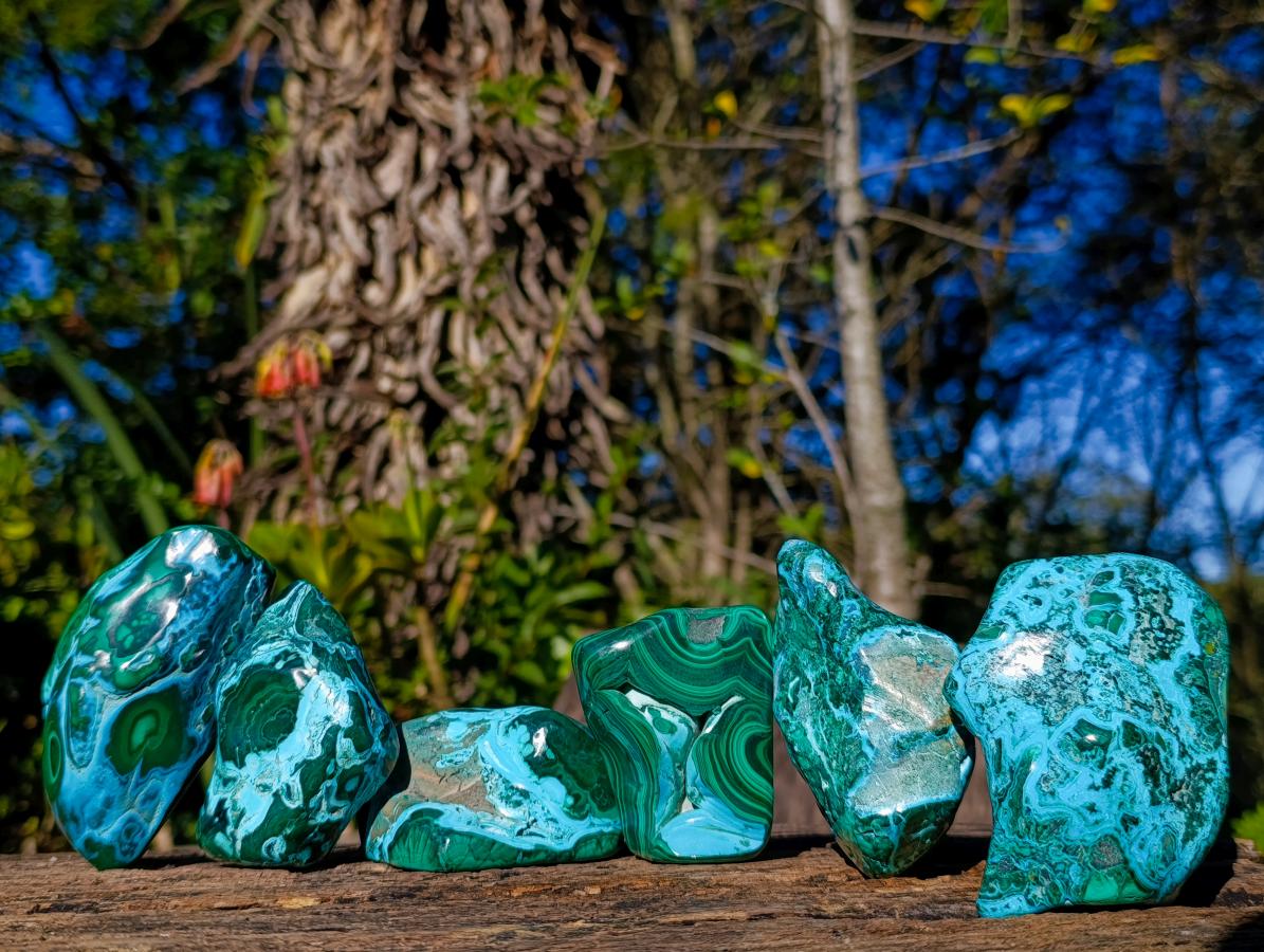 Polished Malacolla Free Forms x 6 From Kulukuluku, Congo - Toprock Gemstones and Minerals 