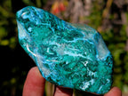 Polished Malacolla Free Forms x 6 From Kulukuluku, Congo - Toprock Gemstones and Minerals 