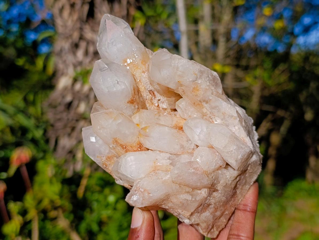 Natural Malagasy Quartz Clusters x 3 From Madagascar - Toprock Gemstones and Minerals 
