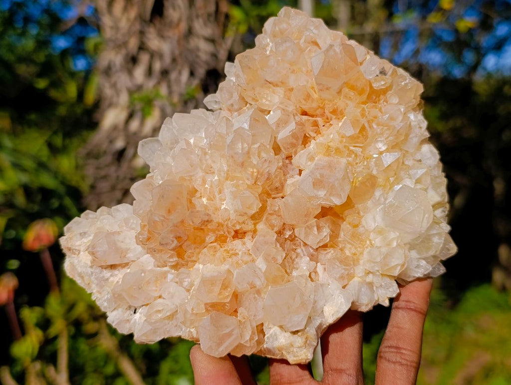 Natural Malagasy Quartz Clusters x 3 From Madagascar - Toprock Gemstones and Minerals 