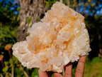 Natural Malagasy Quartz Clusters x 3 From Madagascar - Toprock Gemstones and Minerals 