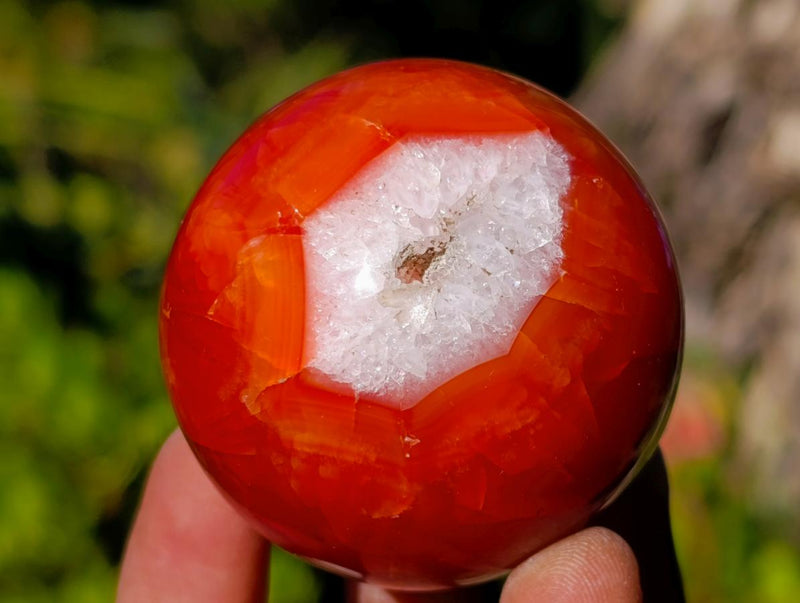 Polished Carnelian Agate Gemstone Spheres x 6 From Madagascar - Toprock Gemstones and Minerals 