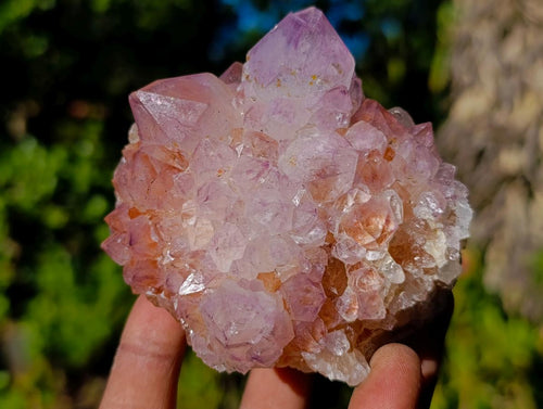 Natural Sunburst Spirit Amethyst Clusters x 4 From Boekenhouthoek, South Africa - Toprock Gemstones and Minerals 