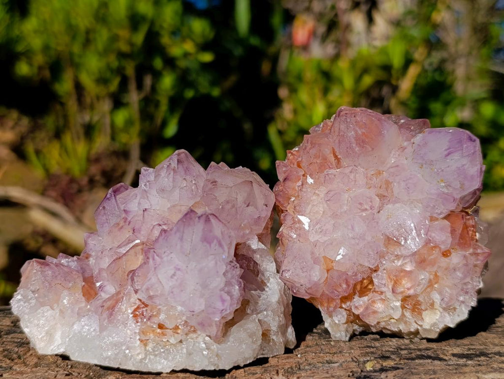 Natural Sunburst Spirit Amethyst Clusters x 4 From Boekenhouthoek, South Africa - Toprock Gemstones and Minerals 