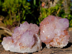 Natural Sunburst Spirit Amethyst Clusters x 4 From Boekenhouthoek, South Africa - Toprock Gemstones and Minerals 