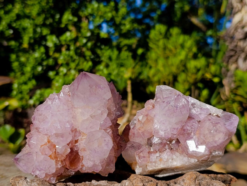 Natural Sunburst Spirit Amethyst Clusters x 4 From Boekenhouthoek, South Africa - Toprock Gemstones and Minerals 
