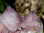 Natural Sunburst Spirit Amethyst Clusters x 4 From Boekenhouthoek, South Africa - Toprock Gemstones and Minerals 