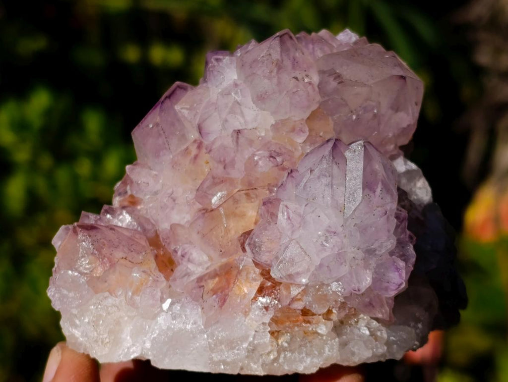 Natural Sunburst Spirit Amethyst Clusters x 4 From Boekenhouthoek, South Africa - Toprock Gemstones and Minerals 