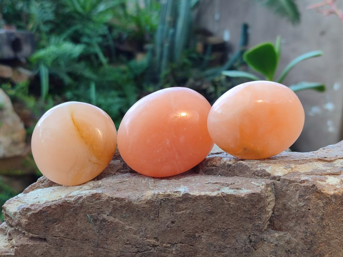 Polished Orange Twist Calcite Galets x 37 From Maevantanana, Madagascar - Toprock Gemstones and Minerals 