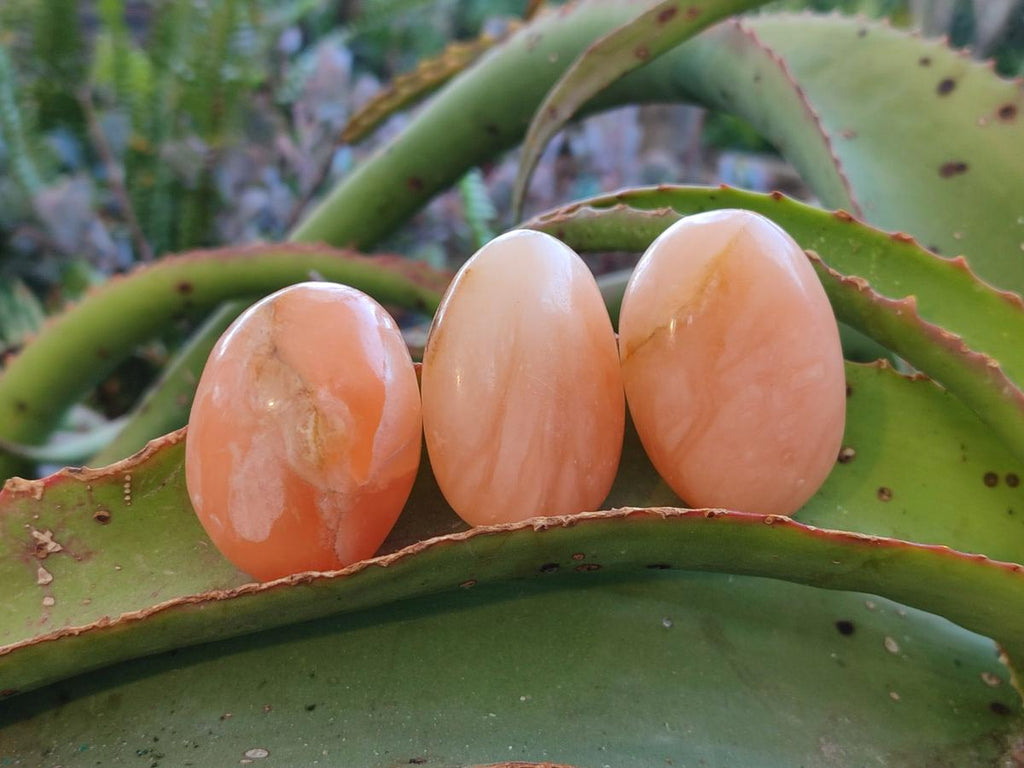 Polished Orange Twist Calcite Galets x 37 From Maevantanana, Madagascar - Toprock Gemstones and Minerals 