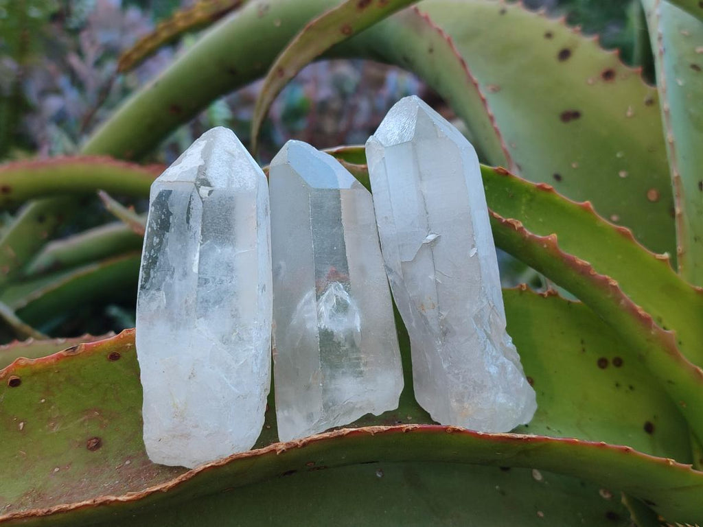 Natural Clear Quartz Crystals x 35 From Madagascar - Toprock Gemstones and Minerals 