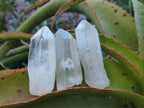 Natural Clear Quartz Crystals x 35 From Madagascar - Toprock Gemstones and Minerals 